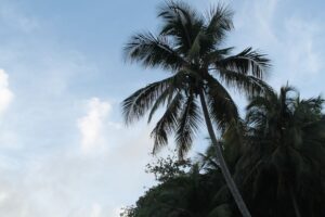 Photo tourist destinations
