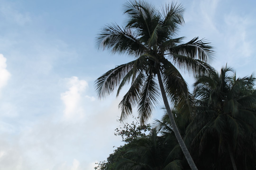 Photo tourist destinations
