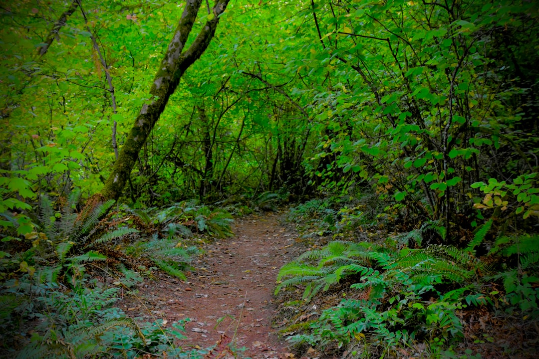 Photo adventure nature