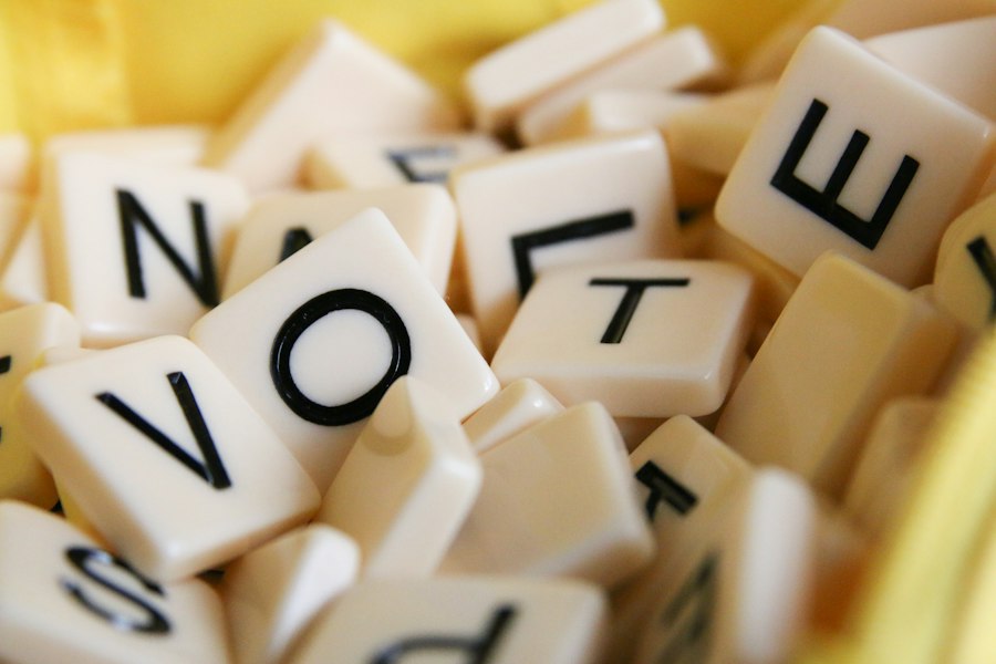 election observers